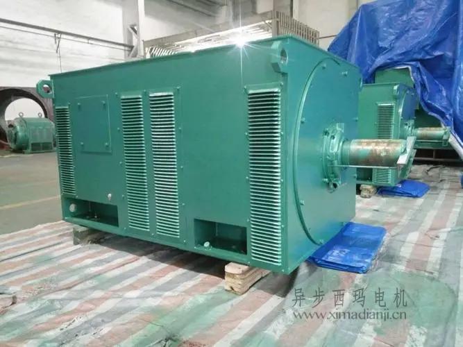 西瑪電機Y5603-10 560KW <a href=http://www.zmumu.cn/new/new-47-621.html target='_blank'><a href=http://www.zmumu.cn/new_tags_225.html target='_blank'>10kv高壓電機</a></a>