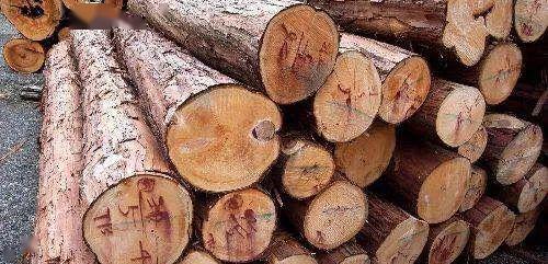 木材深讀 設(shè)計師必備的木材知識與應(yīng)用藝術(shù)